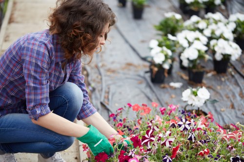 Eco-friendly garden clearance practices being implemented