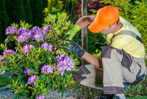 Gardening tools on a workbench representing commitment