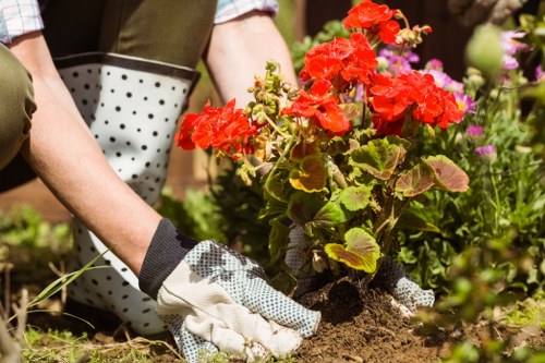 Garden center in Spitalfields offering a wide range of plants and tools